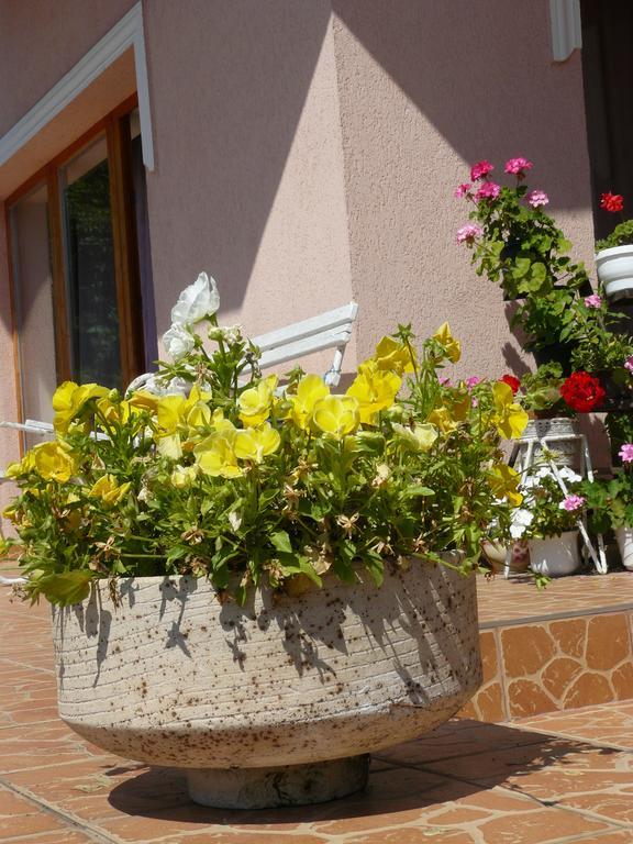Hejo Apartman Miskolc Dış mekan fotoğraf