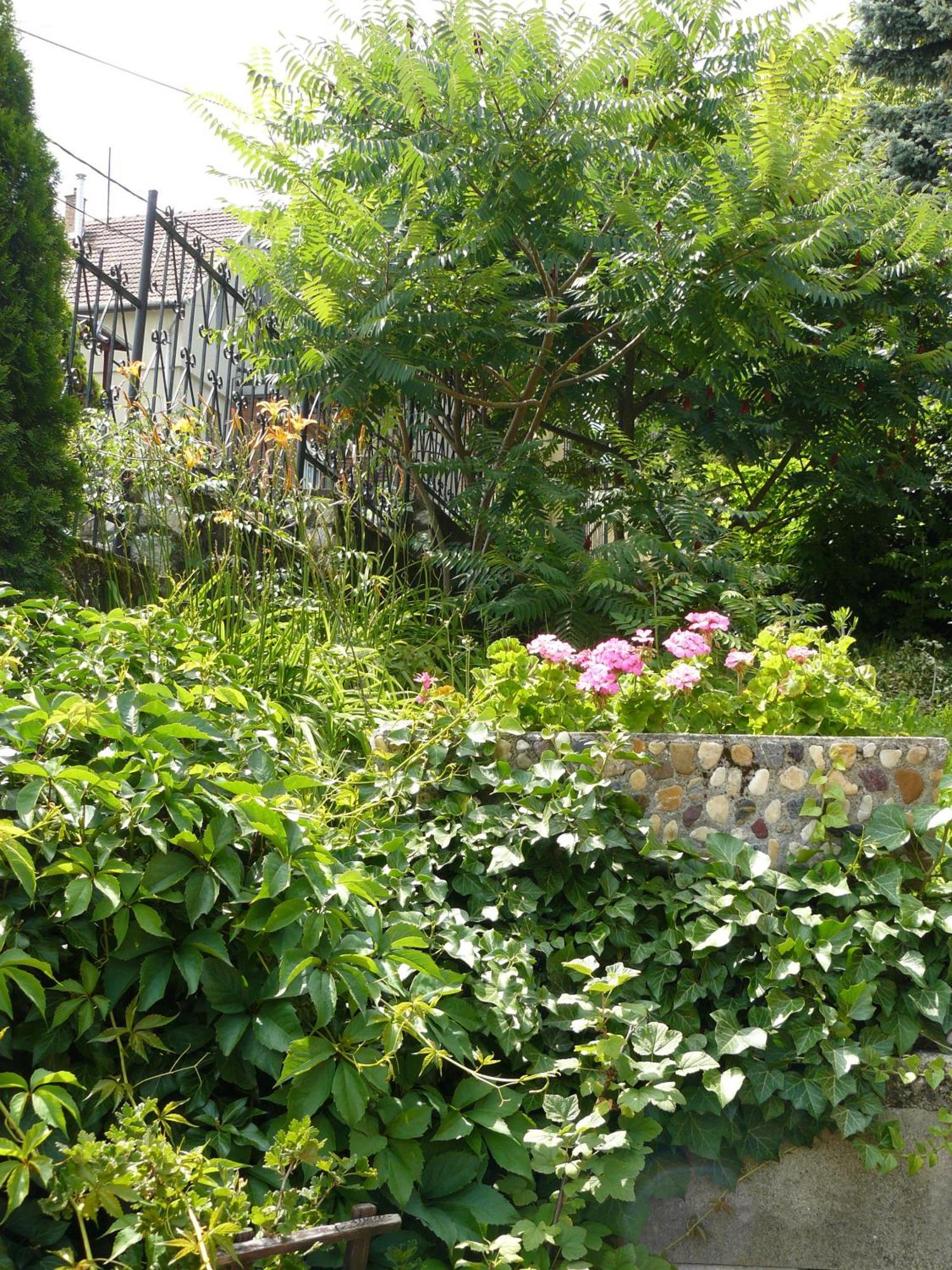 Hejo Apartman Miskolc Dış mekan fotoğraf
